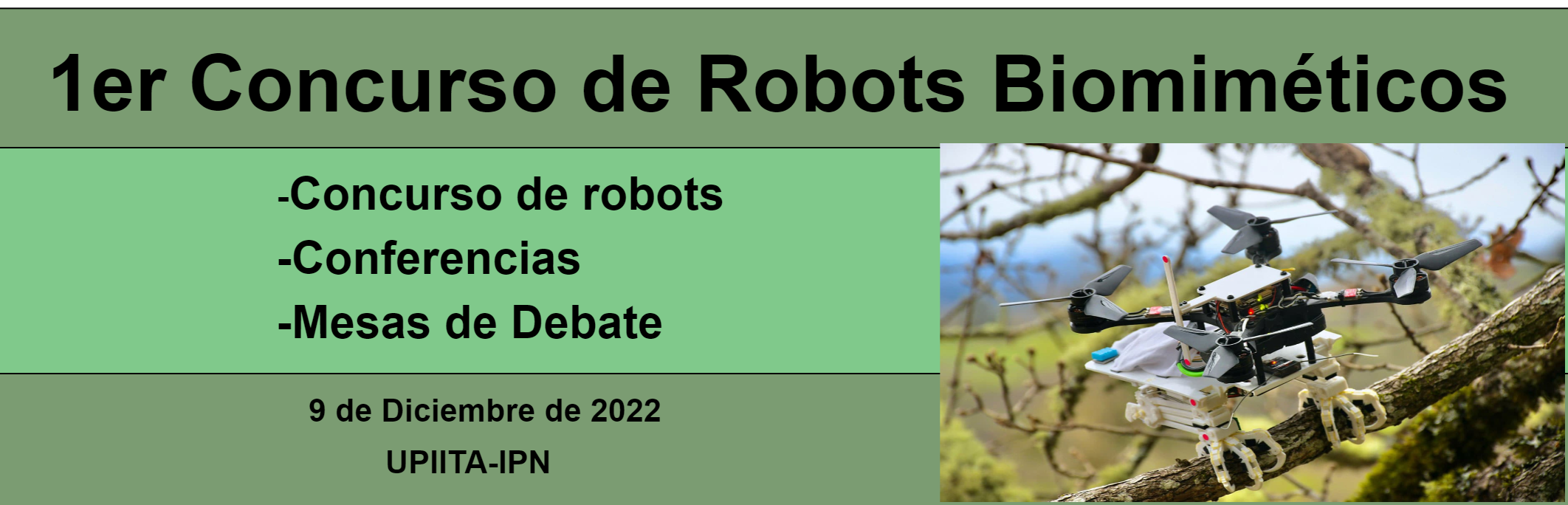 Concurso de Robots Biomiméticos