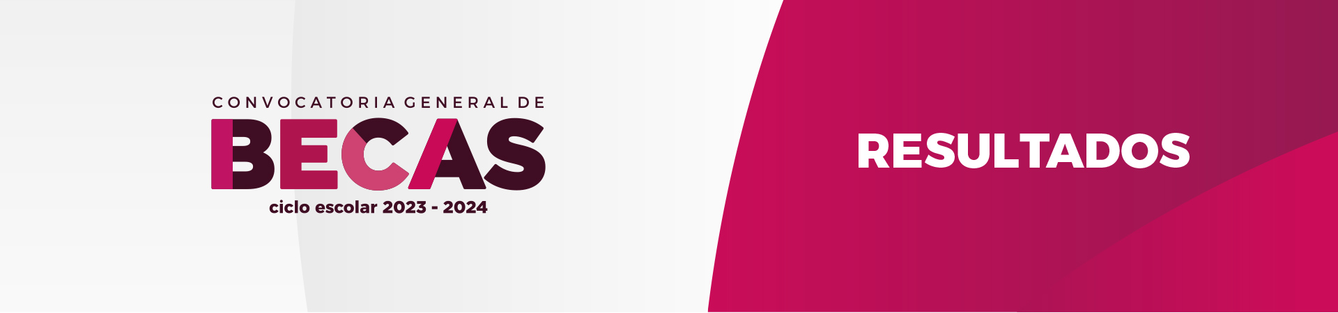 Becas IPN