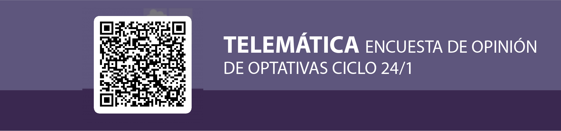 Encuesta Telemática