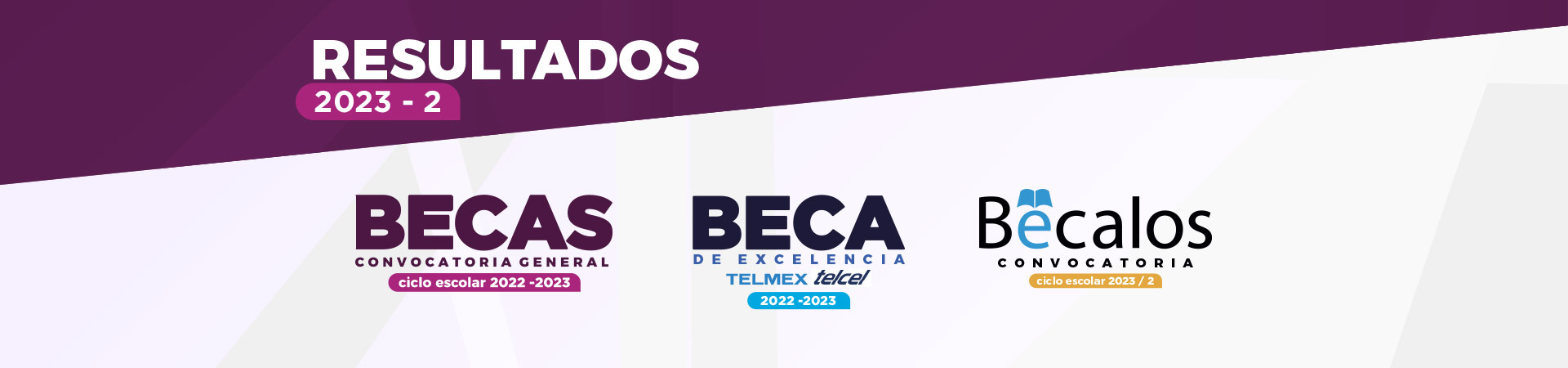 Becas nnn