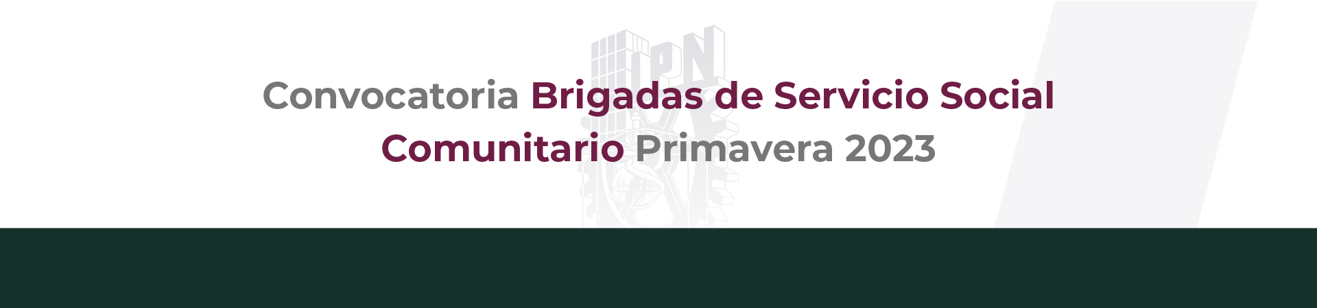 Brigada servicio social